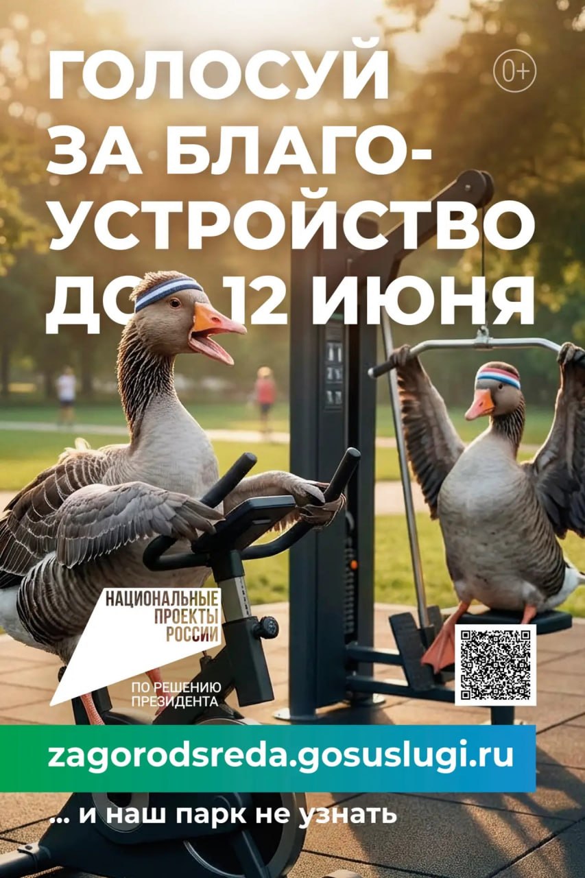 Голосуй за благоустройство